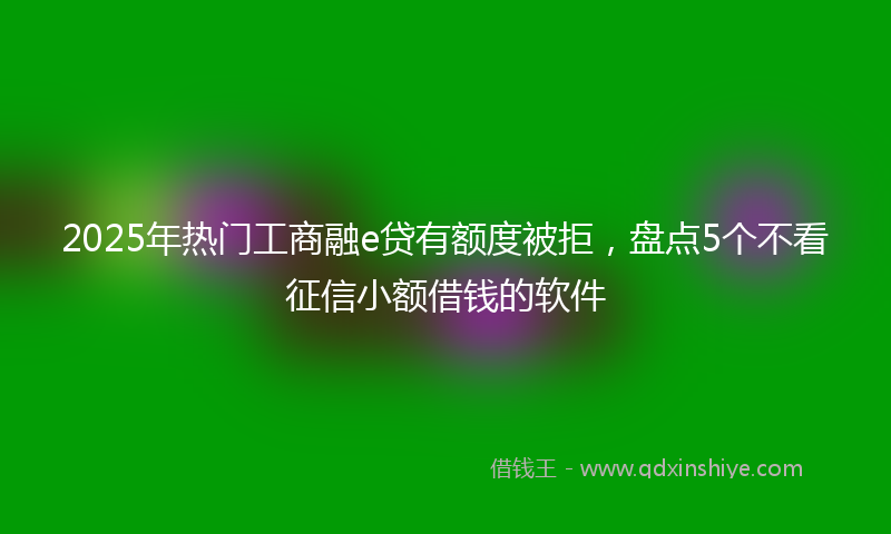 2025年热门工商融e贷有额度被拒，盘点5个不看征信小额借钱的软件