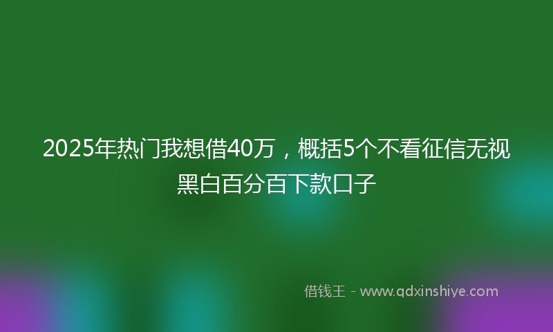 2025年热门我想借40万，概括5个不看征信无视黑白百分百下款口子