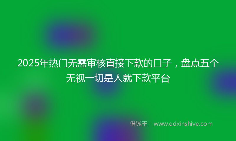 2025年热门无需审核直接下款的口子，盘点五个无视一切是人就下款平台