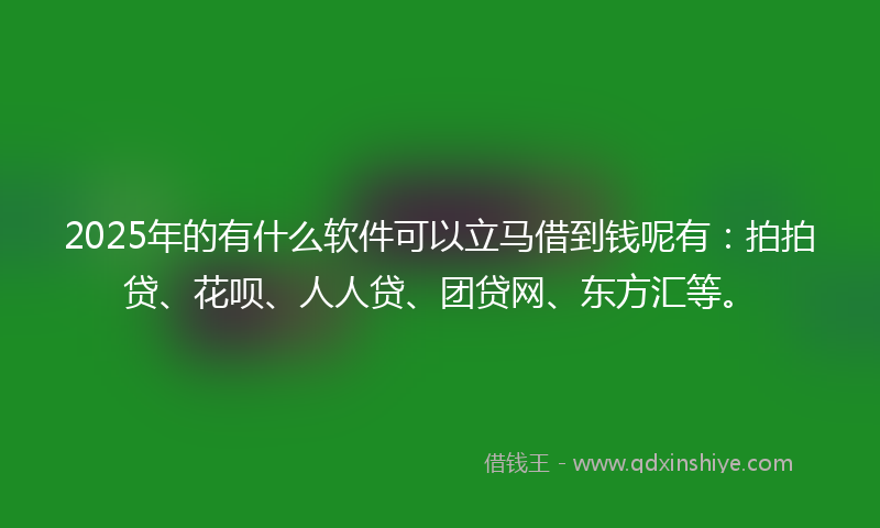 2025年的有什么软件可以立马借到钱呢有：拍拍贷、花呗、人人贷、团贷网、东方汇等。