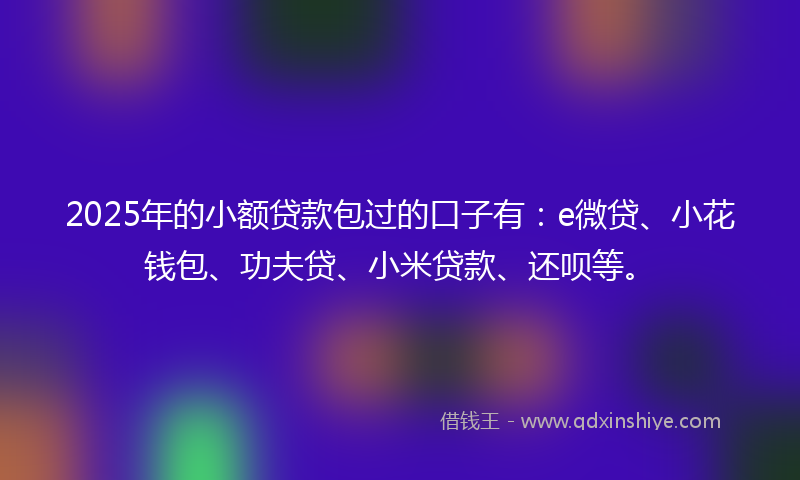2025年的小额贷款包过的口子有：e微贷、小花钱包、功夫贷、小米贷款、还呗等。