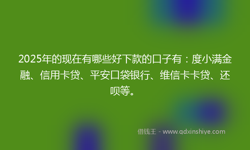2025年的现在有哪些好下款的口子有：度小满金融、信用卡贷、平安口袋银行、维信卡卡贷、还呗等。