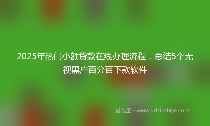 2025年热门小额贷款在线办理流程，总结5个无视黑户百分百下款软件
