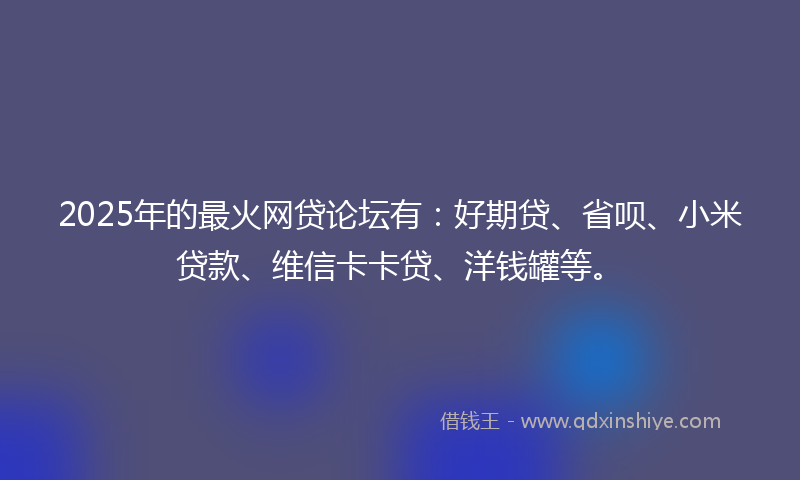2025年的最火网贷论坛有：好期贷、省呗、小米贷款、维信卡卡贷、洋钱罐等。