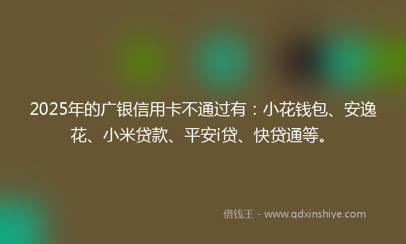 2025年的广银信用卡不通过有：小花钱包、安逸花、小米贷款、平安i贷、快贷通等。