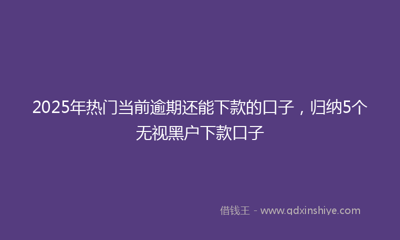 2025年热门当前逾期还能下款的口子，归纳5个无视黑户下款口子
