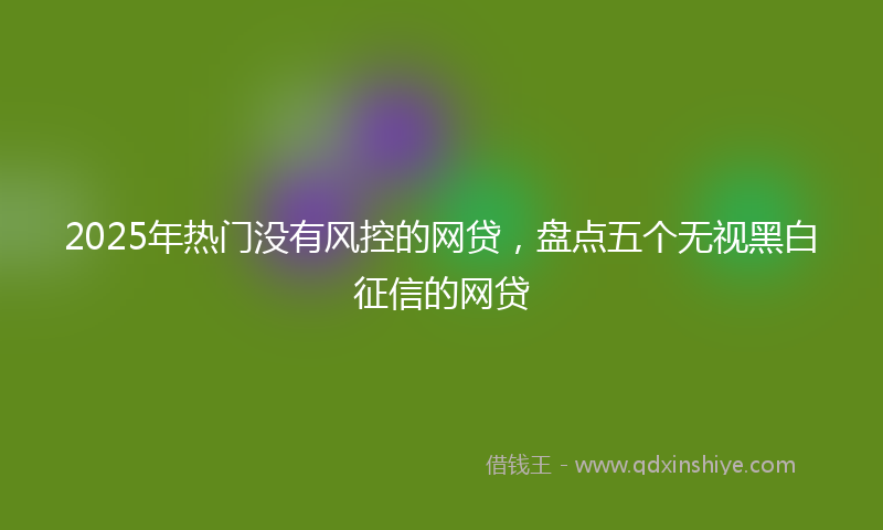 2025年热门没有风控的网贷，盘点五个无视黑白征信的网贷