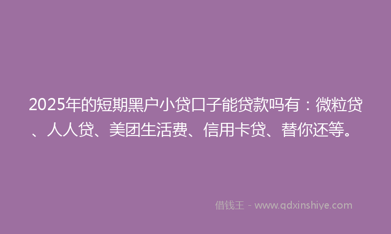 2025年的短期黑户小贷口子能贷款吗有：微粒贷、人人贷、美团生活费、信用卡贷、替你还等。