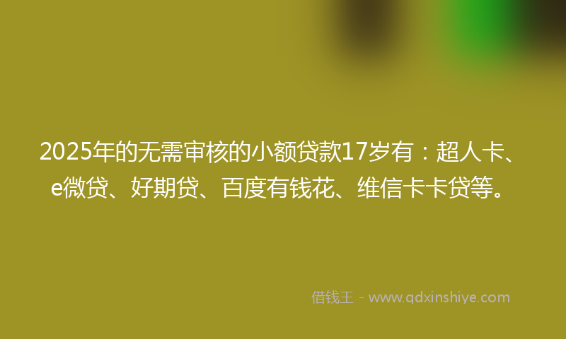 2025年的无需审核的小额贷款17岁有：超人卡、e微贷、好期贷、百度有钱花、维信卡卡贷等。