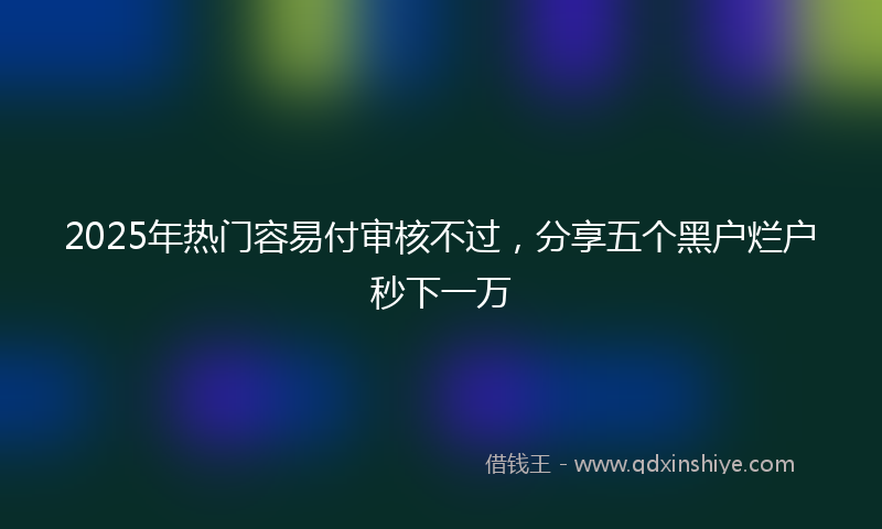2025年热门容易付审核不过，分享五个黑户烂户秒下一万