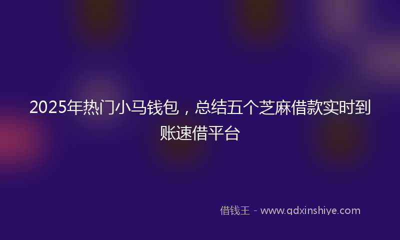 2025年热门小马钱包，总结五个芝麻借款实时到账速借平台