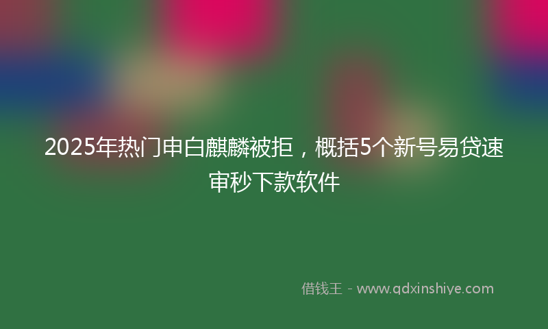 2025年热门申白麒麟被拒，概括5个新号易贷速审秒下款软件