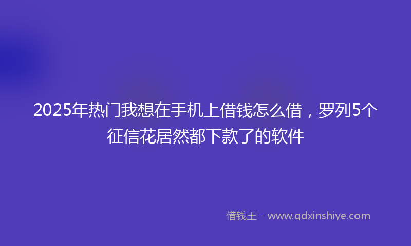 2025年热门我想在手机上借钱怎么借，罗列5个征信花居然都下款了的软件