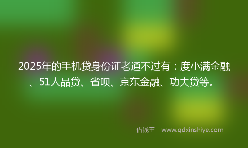 2025年的手机贷身份证老通不过有：度小满金融、51人品贷、省呗、京东金融、功夫贷等。