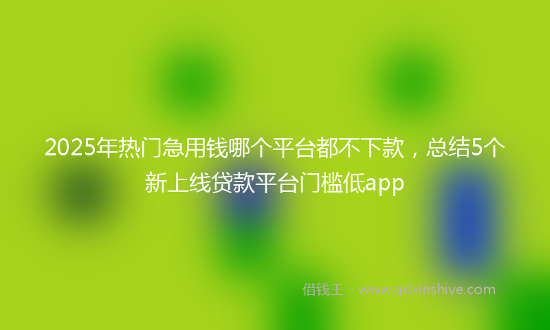 2025年热门急用钱哪个平台都不下款，总结5个新上线贷款平台门槛低app