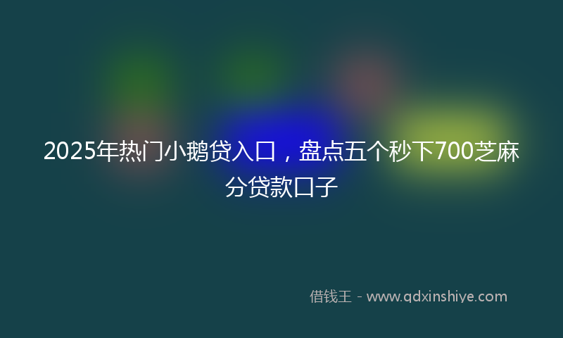 2025年热门小鹅贷入口，盘点五个秒下700芝麻分贷款口子