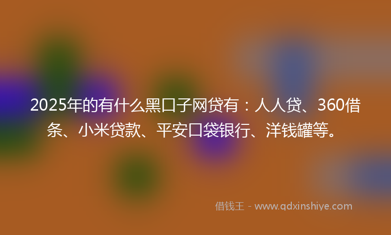 2025年的有什么黑口子网贷有：人人贷、360借条、小米贷款、平安口袋银行、洋钱罐等。