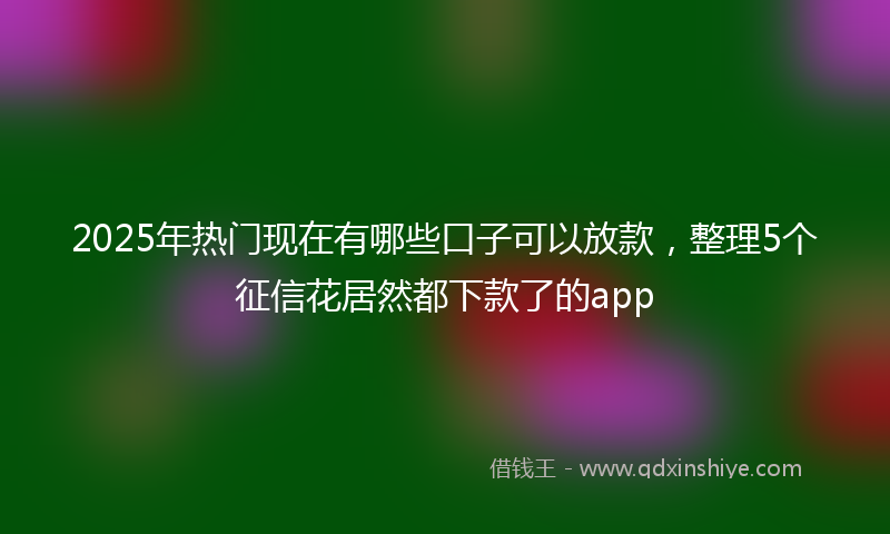 2025年热门现在有哪些口子可以放款，整理5个征信花居然都下款了的app
