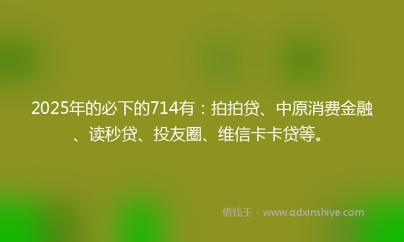 2025年的必下的714有：拍拍贷、中原消费金融、读秒贷、投友圈、维信卡卡贷等。