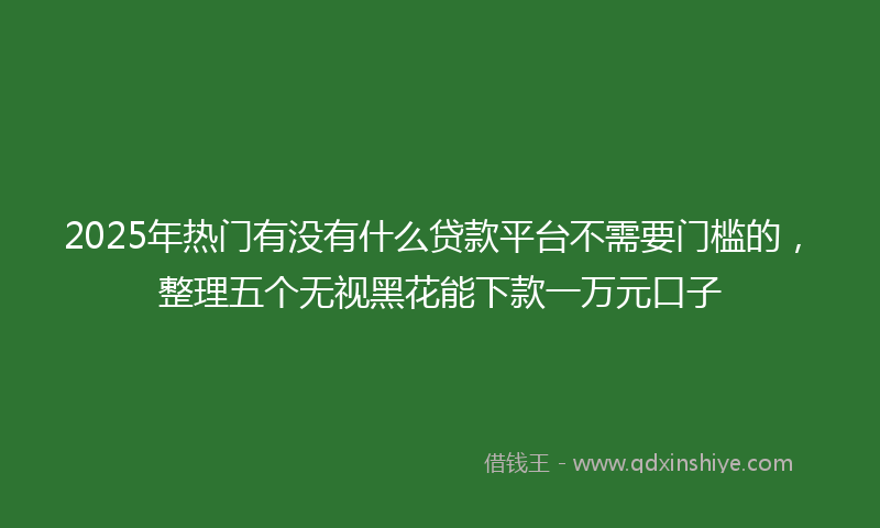 2025年热门有没有什么贷款平台不需要门槛的，整理五个无视黑花能下款一万元口子
