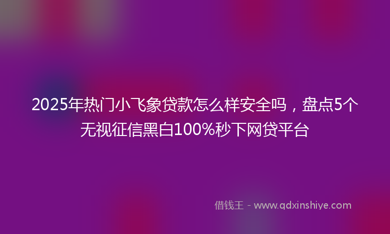 2025年热门小飞象贷款怎么样安全吗，盘点5个无视征信黑白100%秒下网贷平台