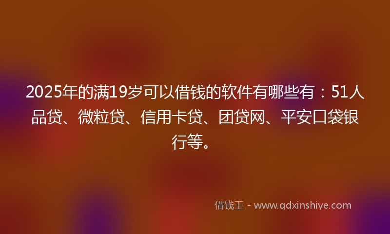 2025年的满19岁可以借钱的软件有哪些有：51人品贷、微粒贷、信用卡贷、团贷网、平安口袋银行等。