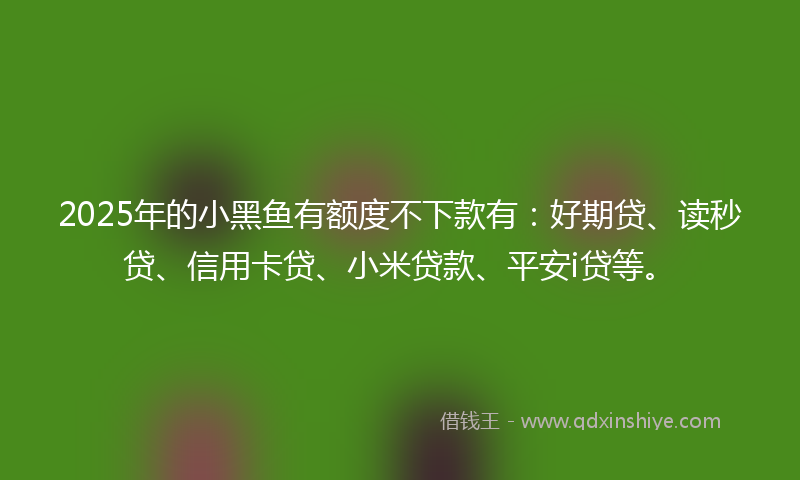 2025年的小黑鱼有额度不下款有：好期贷、读秒贷、信用卡贷、小米贷款、平安i贷等。