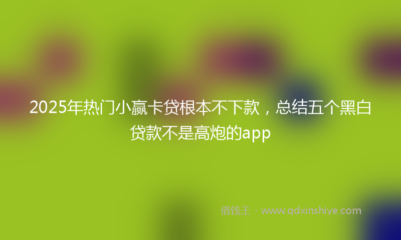 2025年热门小赢卡贷根本不下款，总结五个黑白贷款不是高炮的app