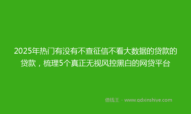 2025年热门有没有不查征信不看大数据的贷款的贷款，梳理5个真正无视风控黑白的网贷平台