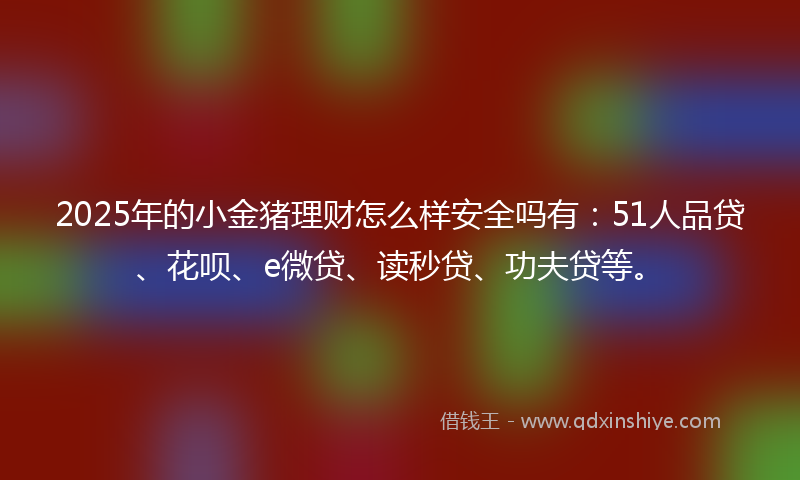 2025年的小金猪理财怎么样安全吗有：51人品贷、花呗、e微贷、读秒贷、功夫贷等。