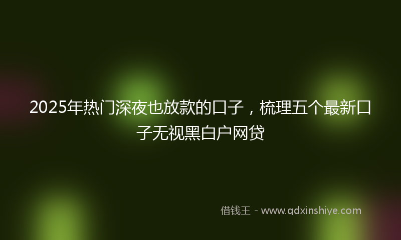 2025年热门深夜也放款的口子，梳理五个最新口子无视黑白户网贷