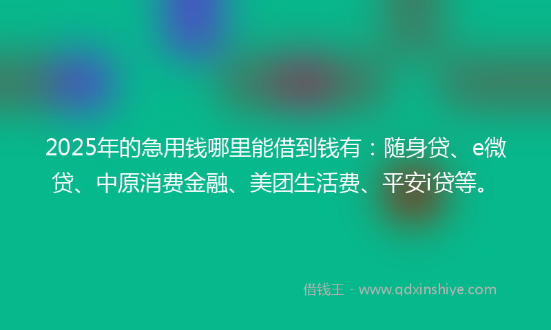 2025年的急用钱哪里能借到钱有：随身贷、e微贷、中原消费金融、美团生活费、平安i贷等。