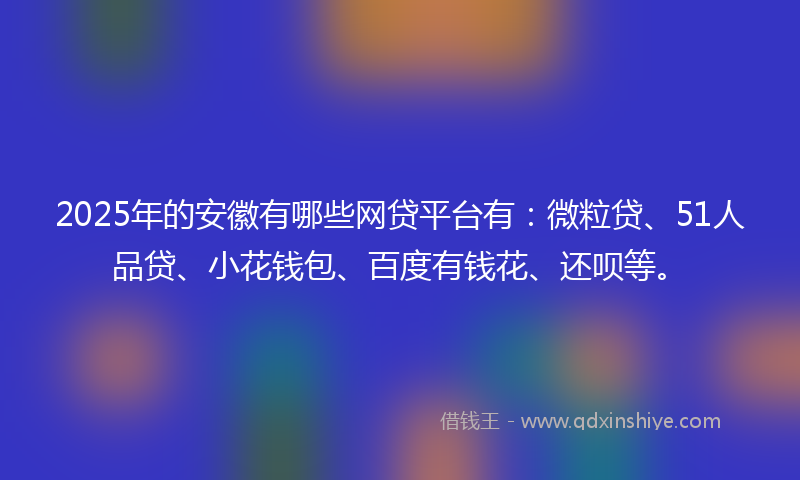 2025年的安徽有哪些网贷平台有：微粒贷、51人品贷、小花钱包、百度有钱花、还呗等。