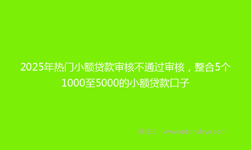 2025年热门小额贷款审核不通过审核,整合5个1000至5000的小额贷款口子