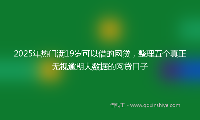 2025年热门满19岁可以借的网贷，整理五个真正无视逾期大数据的网贷口子