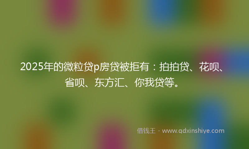 2025年的微粒贷p房贷被拒有：拍拍贷、花呗、省呗、东方汇、你我贷等。