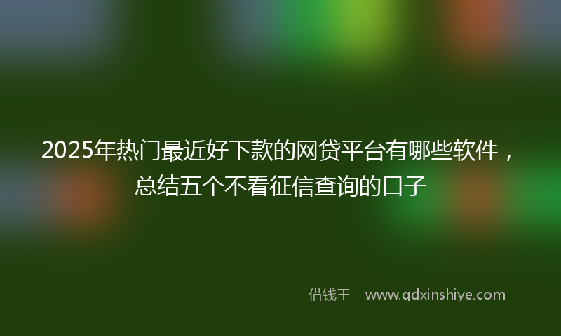 2025年热门最近好下款的网贷平台有哪些软件，总结五个不看征信查询的口子