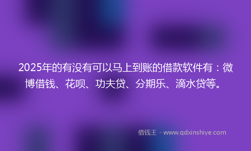 2025年的有没有可以马上到账的借款软件有：微博借钱、花呗、功夫贷、分期乐、滴水贷等。