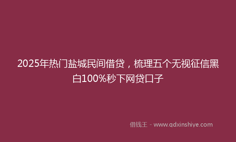 2025年热门盐城民间借贷，梳理五个无视征信黑白100%秒下网贷口子