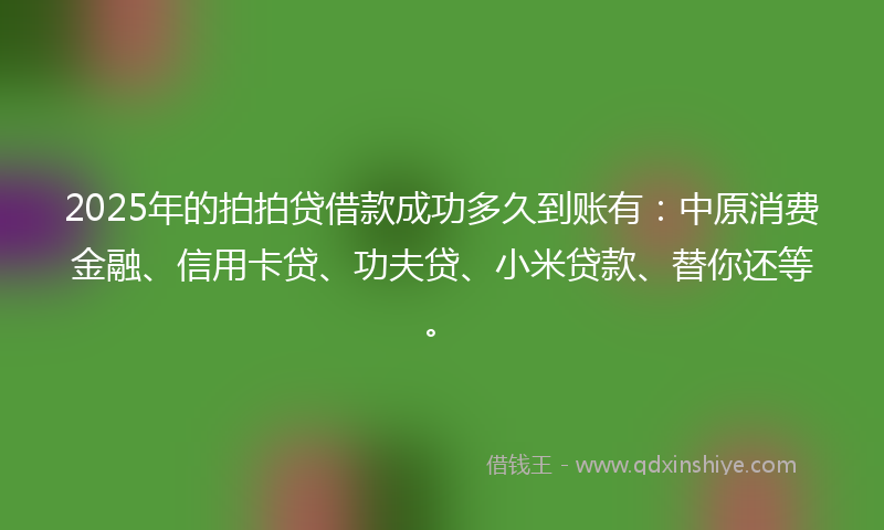 2025年的拍拍贷借款成功多久到账有：中原消费金融、信用卡贷、功夫贷、小米贷款、替你还等。