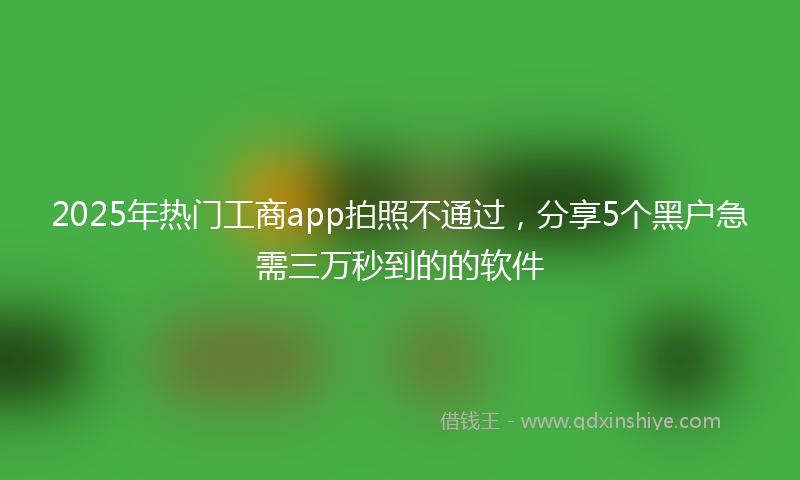 2025年热门工商app拍照不通过，分享5个黑户急需三万秒到的的软件
