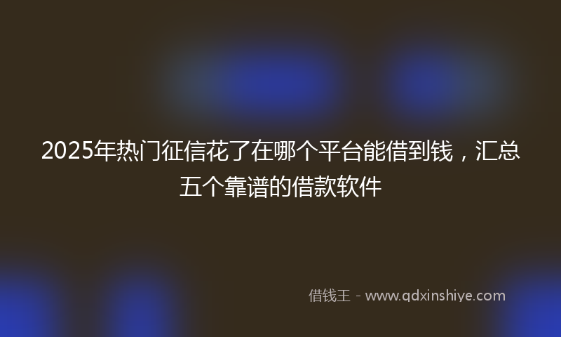 2025年热门征信花了在哪个平台能借到钱，汇总五个靠谱的借款软件
