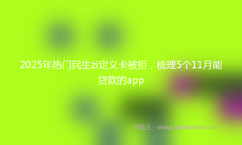 2025年热门民生zi定义卡被拒，梳理5个11月能贷款的app