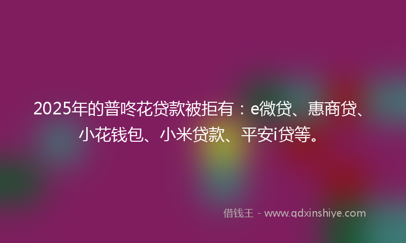 2025年的普咚花贷款被拒有：e微贷、惠商贷、小花钱包、小米贷款、平安i贷等。