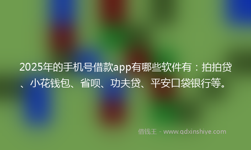 2025年的手机号借款app有哪些软件有：拍拍贷、小花钱包、省呗、功夫贷、平安口袋银行等。