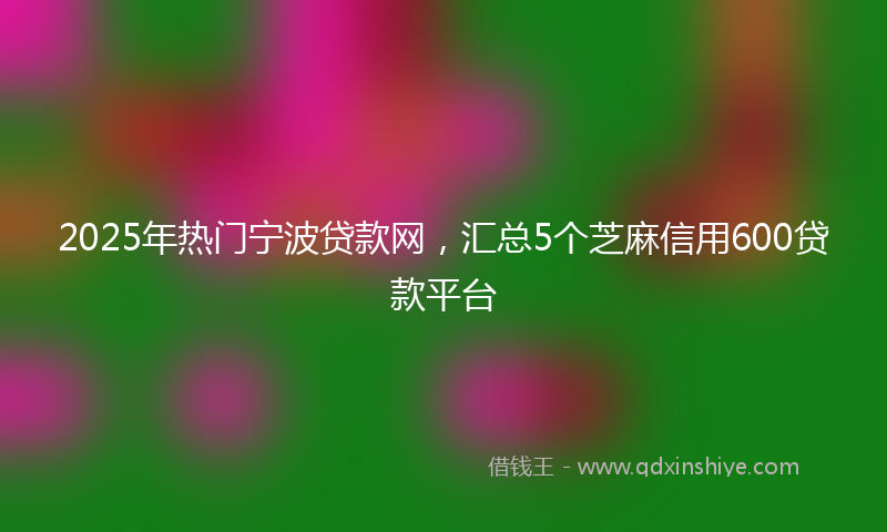 2025年热门宁波贷款网，汇总5个芝麻信用600贷款平台