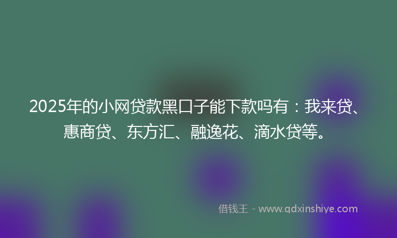 2025年的小网贷款黑口子能下款吗有：我来贷、惠商贷、东方汇、融逸花、滴水贷等。