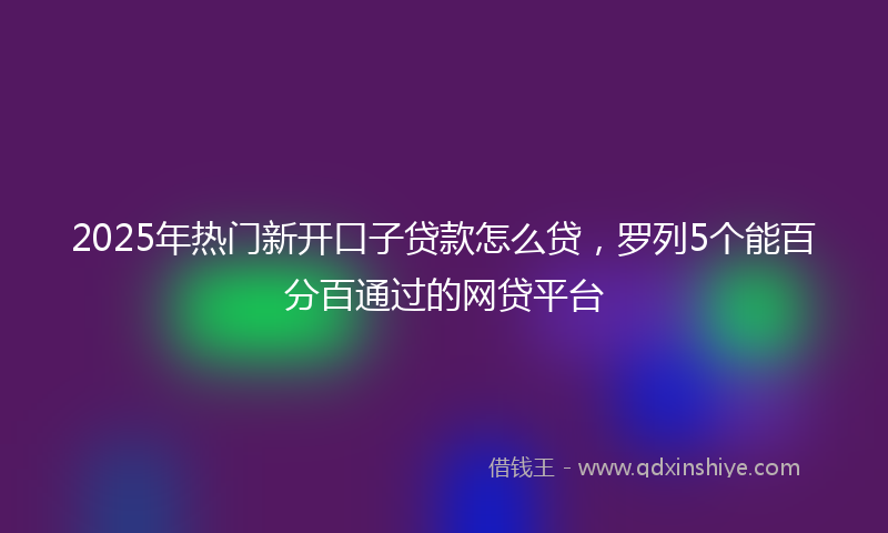 2025年热门新开口子贷款怎么贷，罗列5个能百分百通过的网贷平台