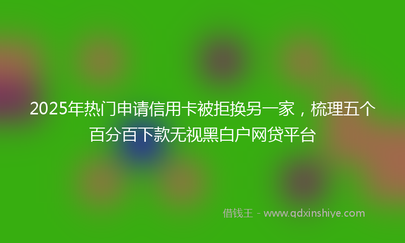 2025年热门申请信用卡被拒换另一家，梳理五个百分百下款无视黑白户网贷平台