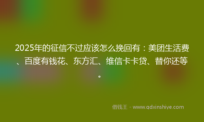 2025年的征信不过应该怎么挽回有：美团生活费、百度有钱花、东方汇、维信卡卡贷、替你还等。